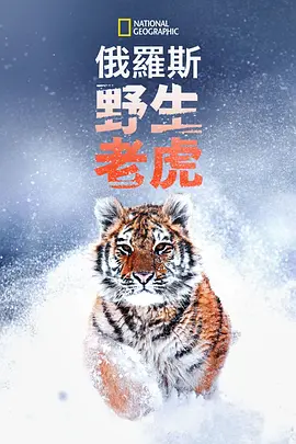 无码无羞耻肉动漫下载